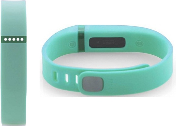 Fitbit Flex - Tech2style